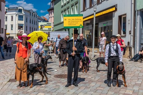 Juni: Festumzug