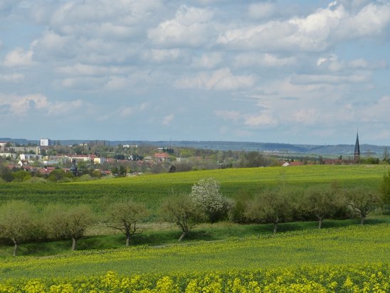 Panorama Apolda