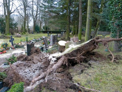 Januar: Sturmschaden Friedhof