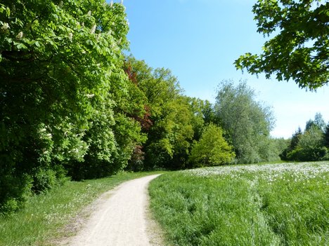 Wanderweg