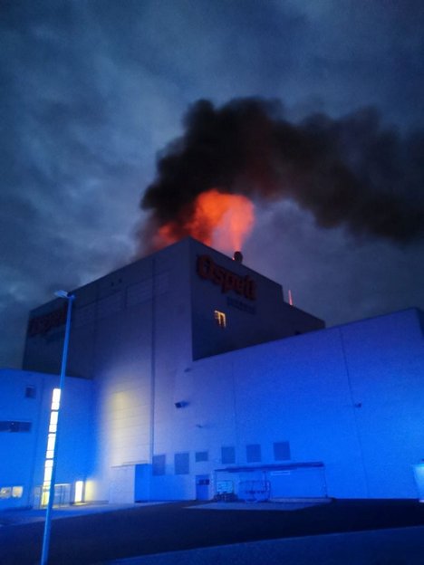 Großbrand bei Ospelt Petfood